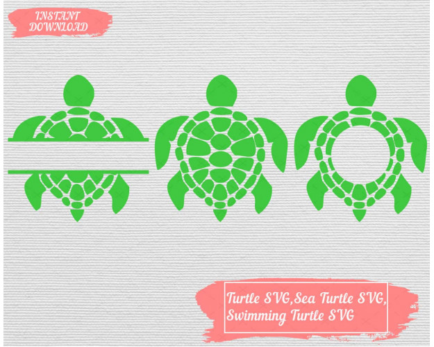 Turtle Frame SVG