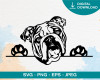 English Bulldog SVG