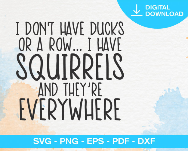 I Don't Have Ducks Or A Row SVG