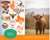 Longhorns SVG Bundle 50+