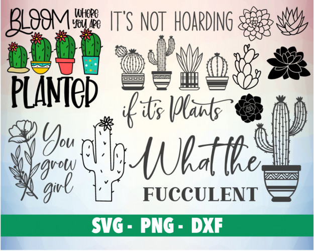 Succulent SVG Bundle 100+